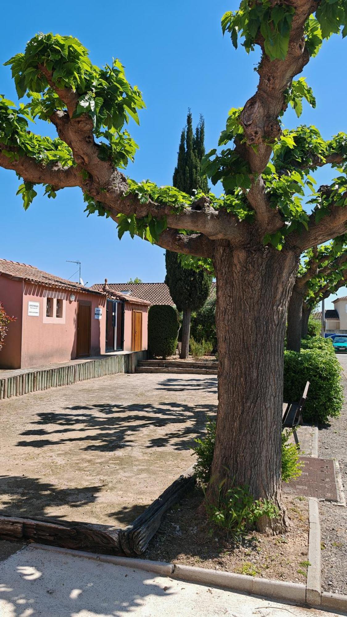 Le Mazet Sooksabai, Confort, Charme Et Decouverte En Petite Camargue Saint-Laurent-dʼAigouze Zewnętrze zdjęcie